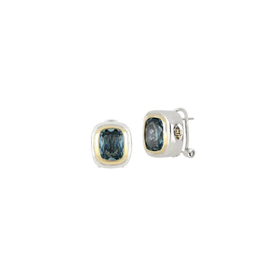 Nouveau Aqua CZ Small Post with Clip Earrings