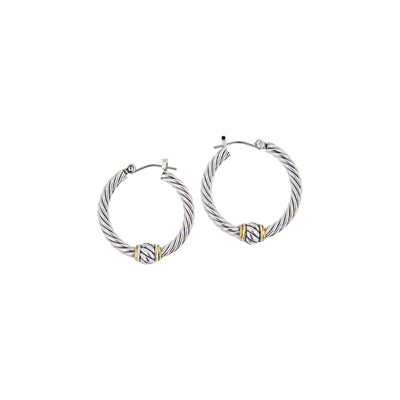 Oval Link Collection - Twisted Wire Hoop Earrings
