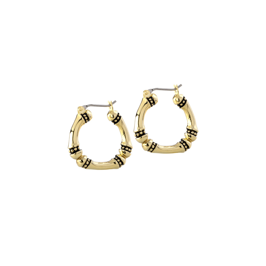 Canias Gold Medium Hoop Earrings